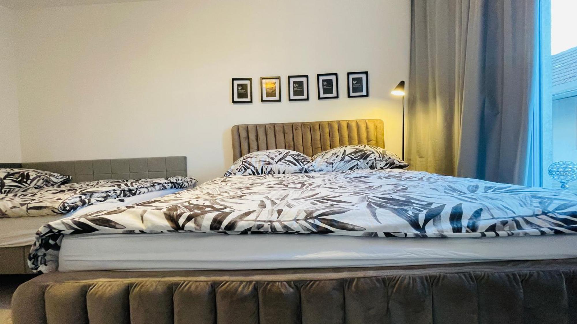 House Flow, 3 Room, Free 2 Parking 布拉迪斯拉发 外观 照片